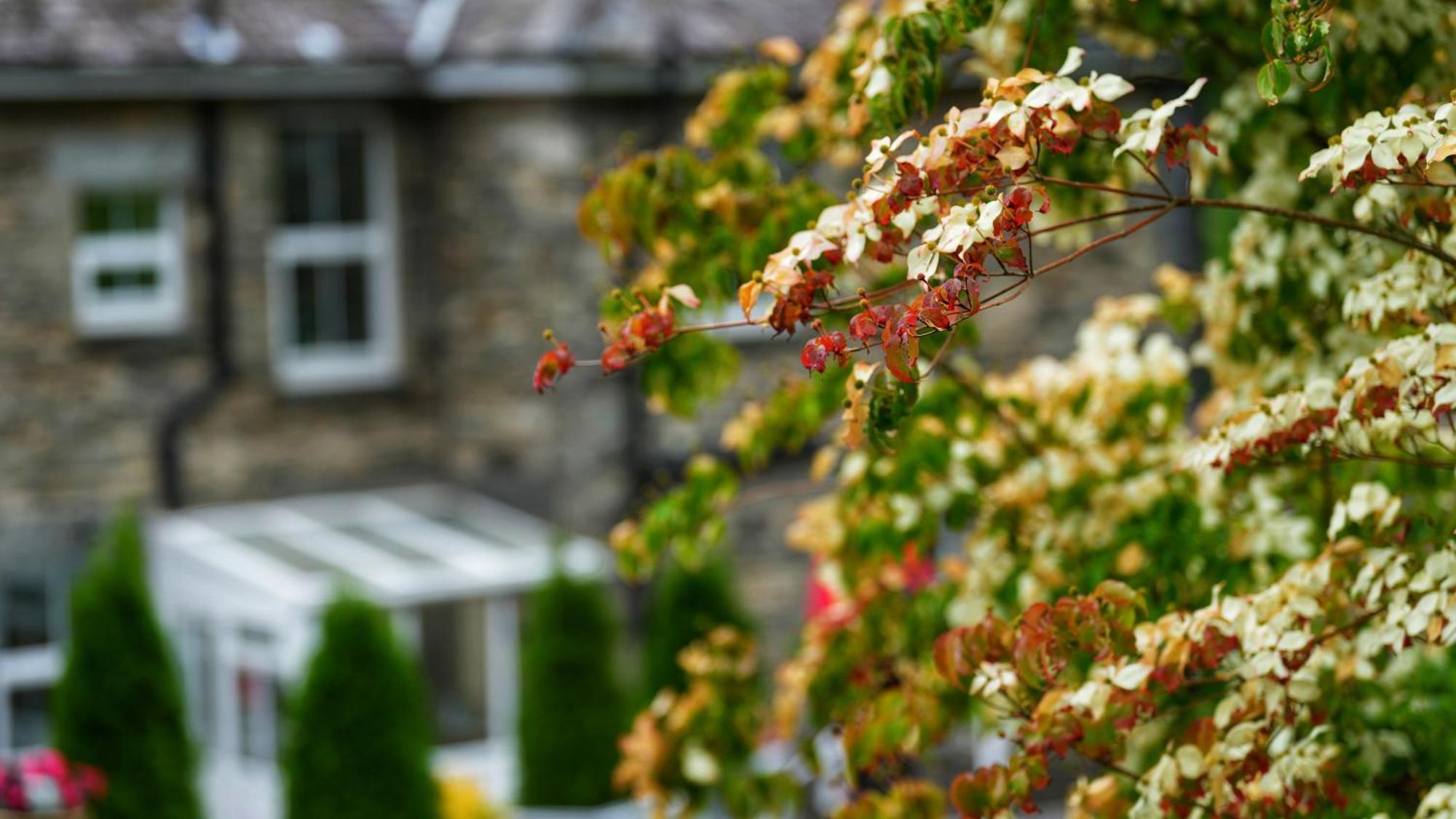 Tyn Y Fron 6 Bedroom House In Betws-Y-Coed Snowdonia Esterno foto